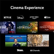 LG QNED75 65 inch 4K Smart QNED TV, 65QNED756RA