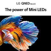 LG QNED91 Series 86 inch 4K TV w, NanoCell & Mini LED Technology, 65QNED916QA