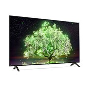 LG OLED55A1PVA, OLED55A1PVA