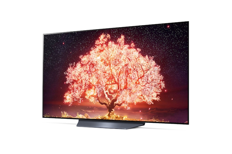 LG B1 55 inch 4K Smart Self-Lit OLED TV w/ AI ThinQ<sup>®</sup>, OLED55B1PVA