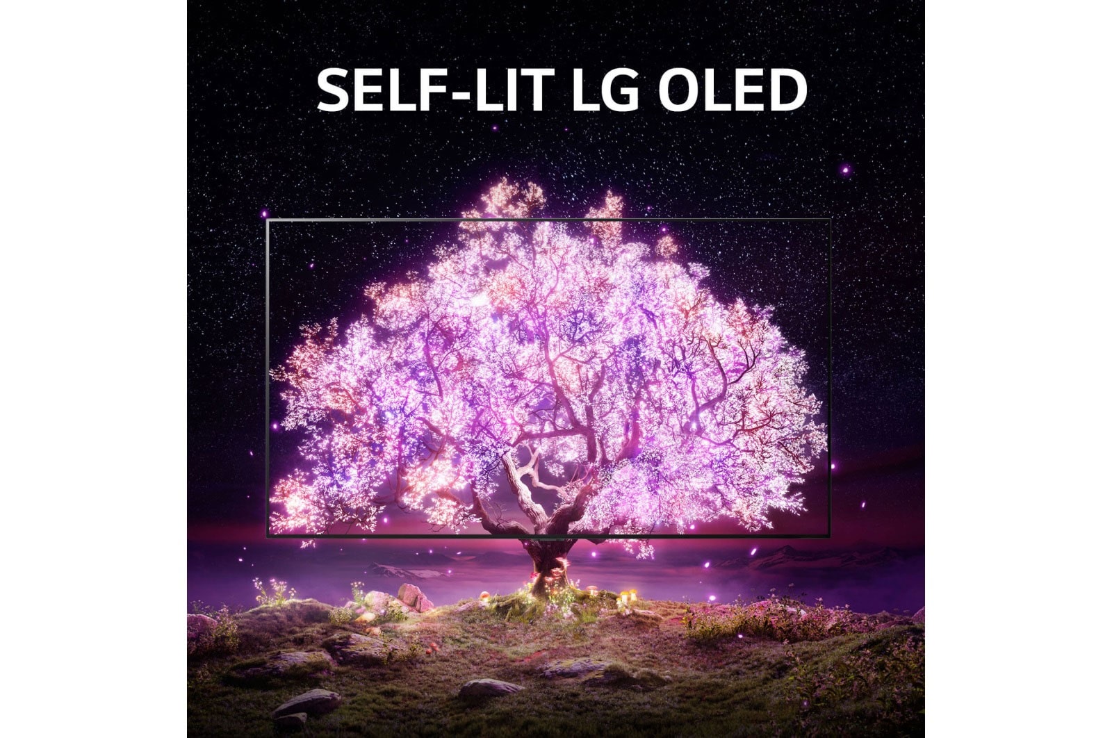 LG B1 55 inch 4K Smart Self-Lit OLED TV w/ AI ThinQ<sup>®</sup>, OLED55B1PVA
