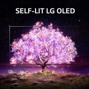LG B1 55 inch 4K Smart Self-Lit OLED TV w/ AI ThinQ<sup>®</sup>, OLED55B1PVA