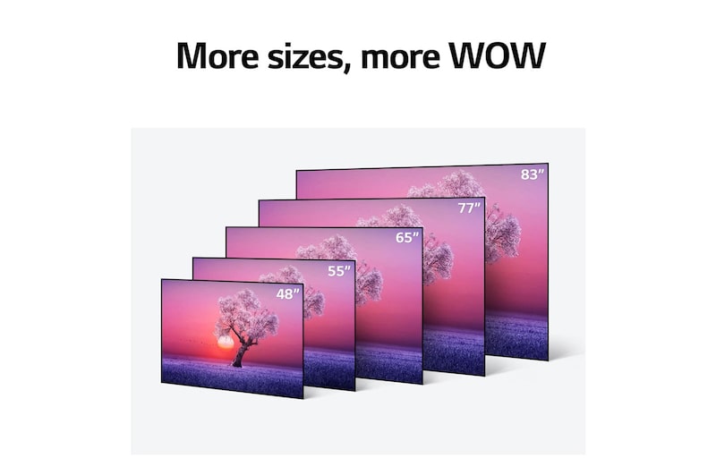 LG OLED55C1PVB, OLED55C1PVB