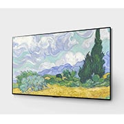 LG OLED55G1PVA, OLED55G1PVA