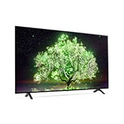 LG OLED65A1PVA, OLED65A1PVA