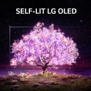 LG OLED65A1PVA, OLED65A1PVA