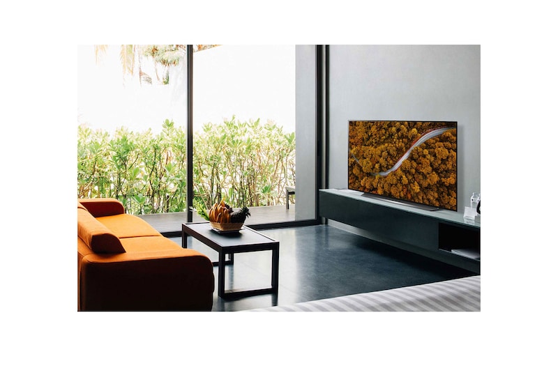 LG CX 65 inch 4K Smart OLED TV, OLED65CXPVA