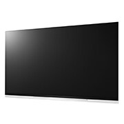 LG 65" LG OLED 4K TV - E9, OLED65E9PVA