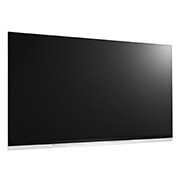 LG 65" LG OLED 4K TV - E9, OLED65E9PVA