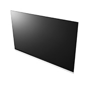 LG 65" LG OLED 4K TV - E9, OLED65E9PVA