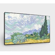 LG OLED65G1PVA, OLED65G1PVA