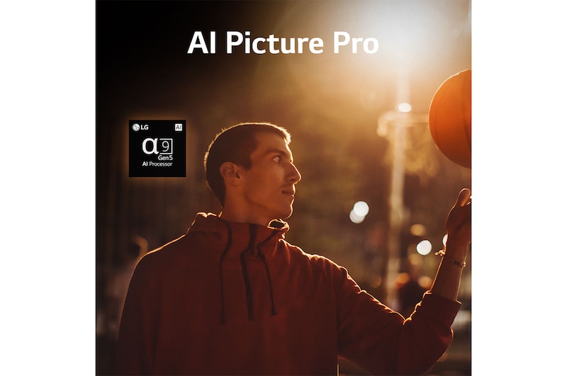 LG G2 65 inch OLED evo Gallery Edition, OLED65G26LA