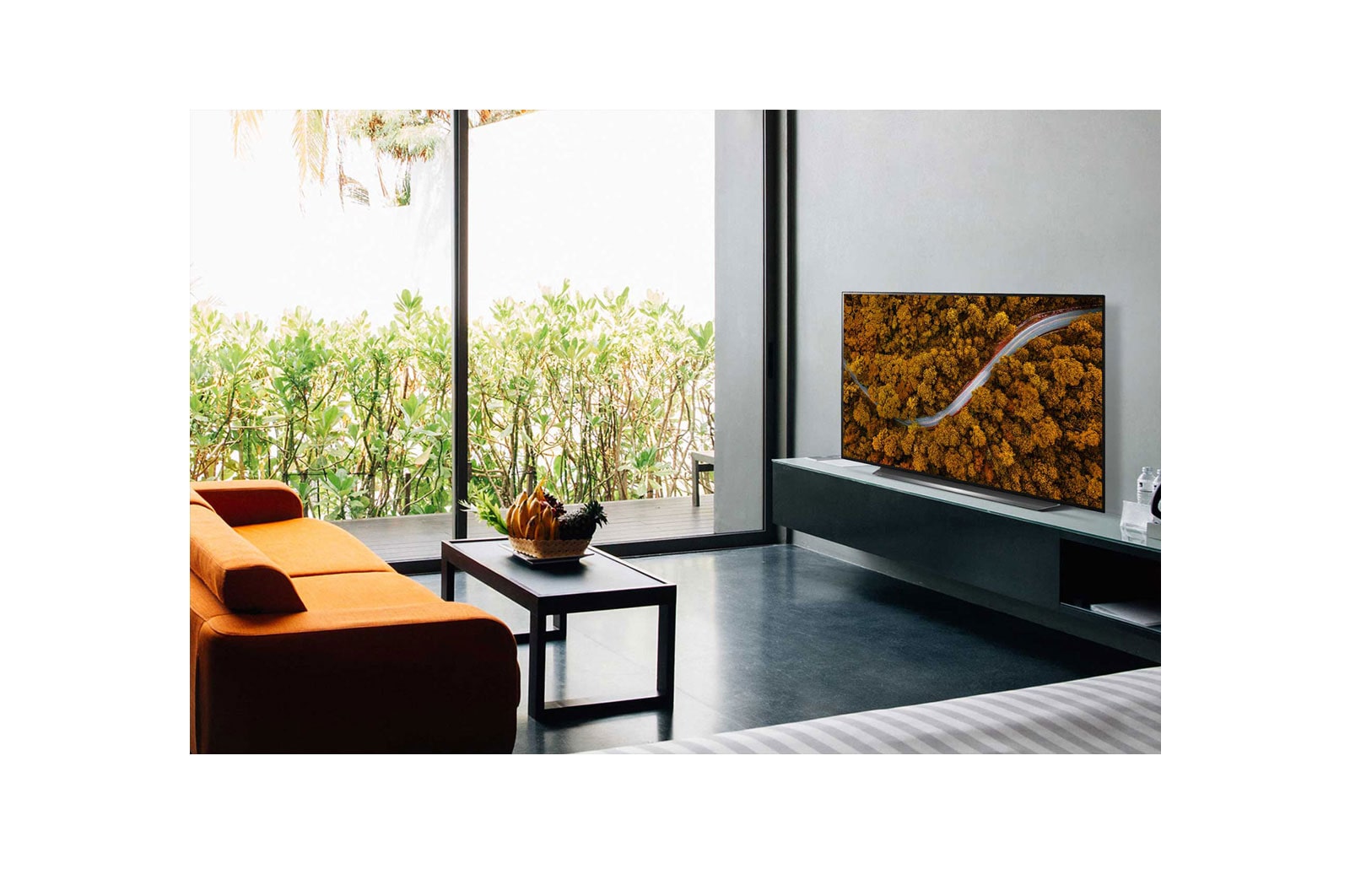 LG CX 77 inch 4K Smart OLED TV, OLED77CXPVA
