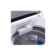 LG 6.5kg Top Load Washing Machine with Smart Inverter Control, WTG6520