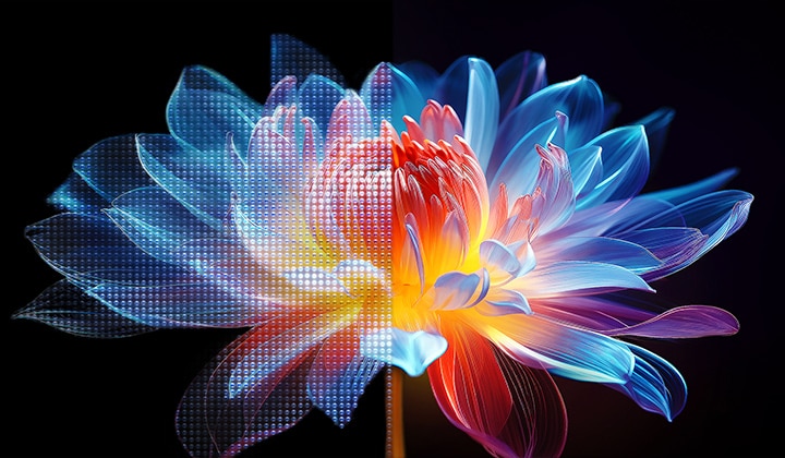 Flor holográfica en 3D con diferentes sombras y tonos sobre fondo negro. La definición y el detalle de la flor resaltan la capacidad del MiniLED de QNED de producir imágenes con color, brillo y contraste excepcionales.