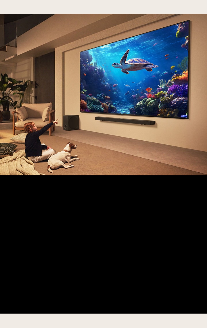 Descubre el mundo a lo grande con el QNED86 de 100" Preview: