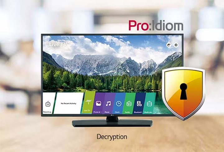 Pro:Idioma