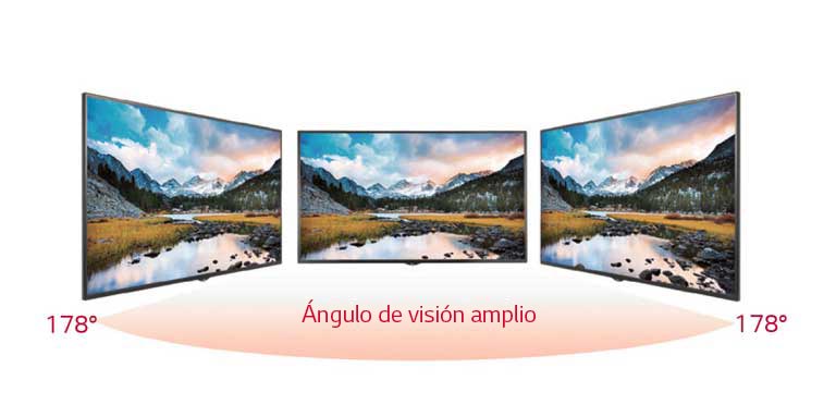 Ángulo de visión amplio