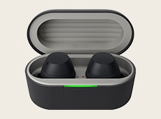 xboom Buds image