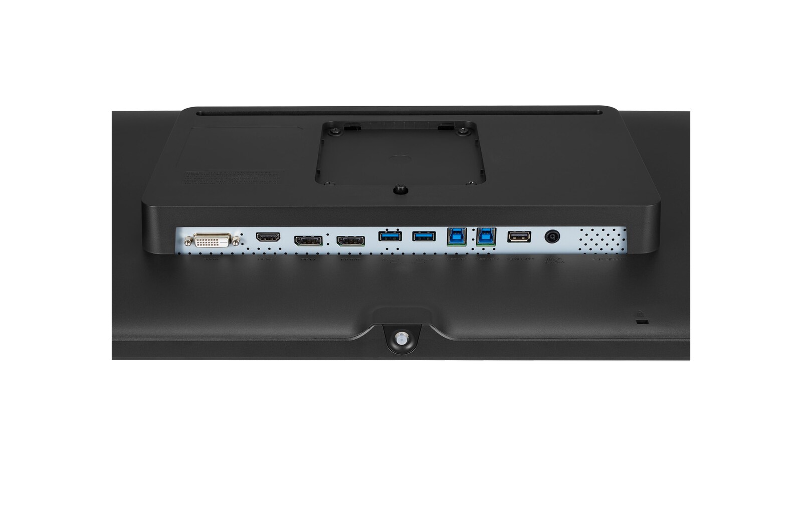 vista en perspectiva posterior