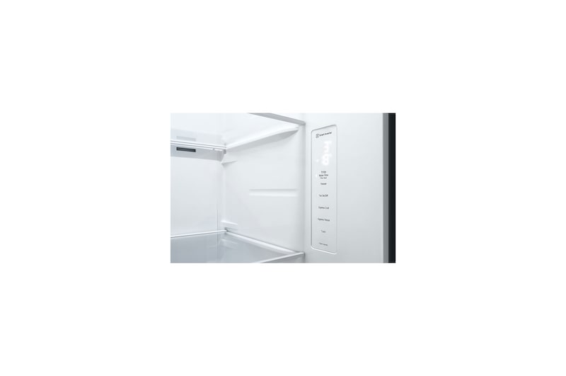 LG Refrigeradora Side by Side 23.8pᶟ(Gross) / 21.6pᶟ(Net) LG GS65WPPK Smart Inverter Silver, GS65WPPK
