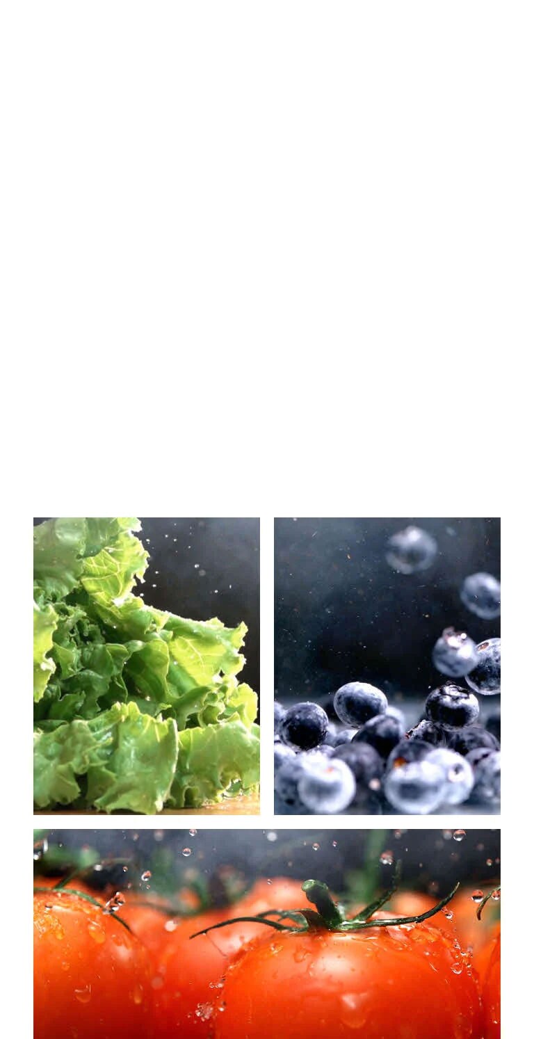 Mantén tus alimentos frescos por más tiempo3