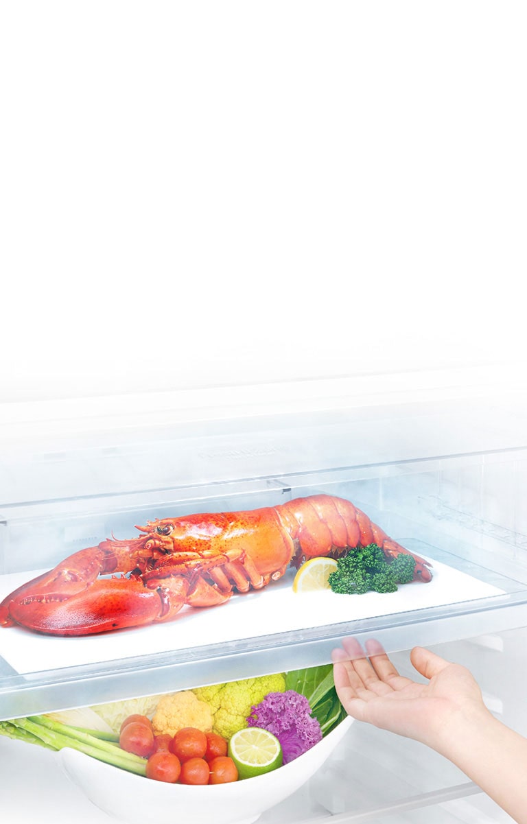 Ahorra tiempo en el descongelado de carnes