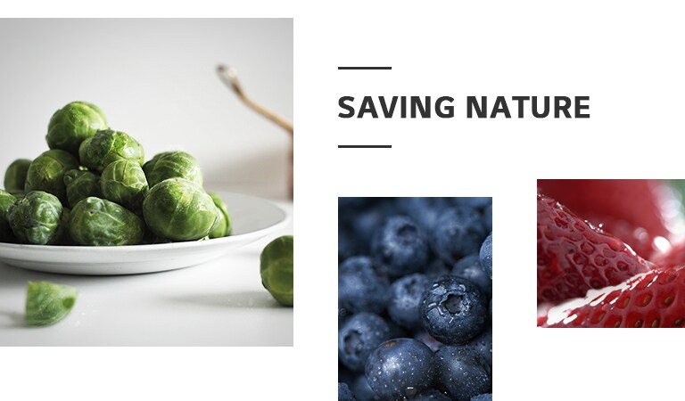 REF-NatureFRESH-LinearTF-01-Story-03-Saving-Nature-Desktop