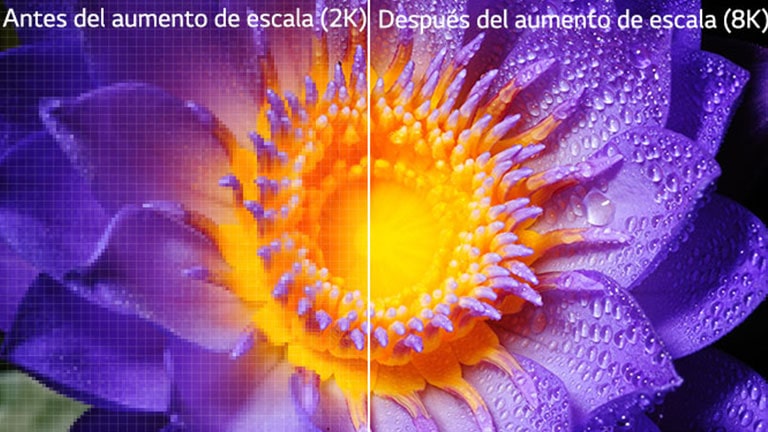 Imagen de una flor en la definición original de 2K, a la izquierda, y escalada a 8K, a la derecha.