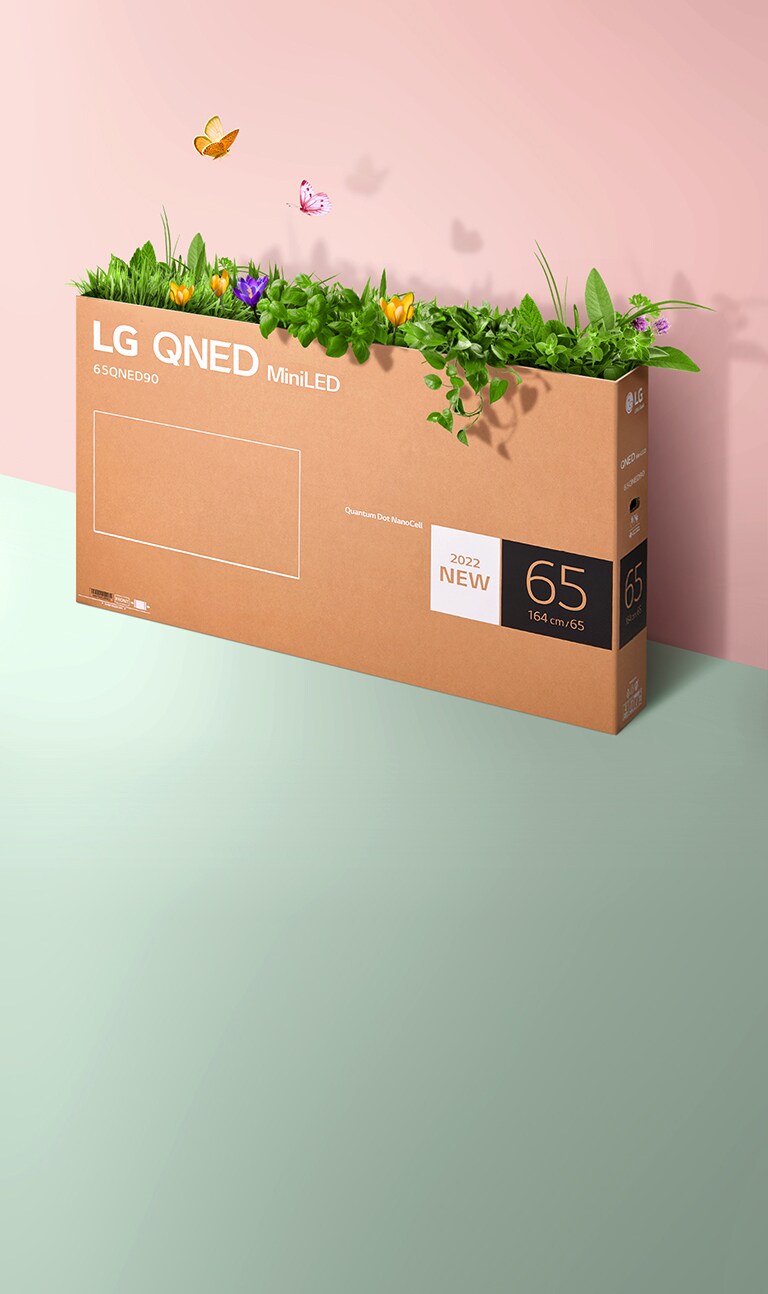 Una caja de embalaje QNED se coloca sobre un fondo rosa y verde y crece hierba y salen mariposas de su interior.