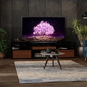 LG OLED 65" C1 4K Smart TV con ThinQ AI (Inteligencia Artificial), Procesador α9 Gen4 AI , OLED65C1PSA