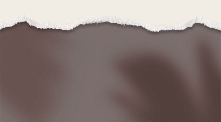 Siento cuánto pueden renovarse nuestras vidas con lo que colocamos en nuestros hogares.
