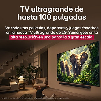 Una joven y un perro sentados frente a una LG QNED TV montada en una pared en la que se ven tres elefantes caminando hacia fuera por encima de la LG Soundbar. 