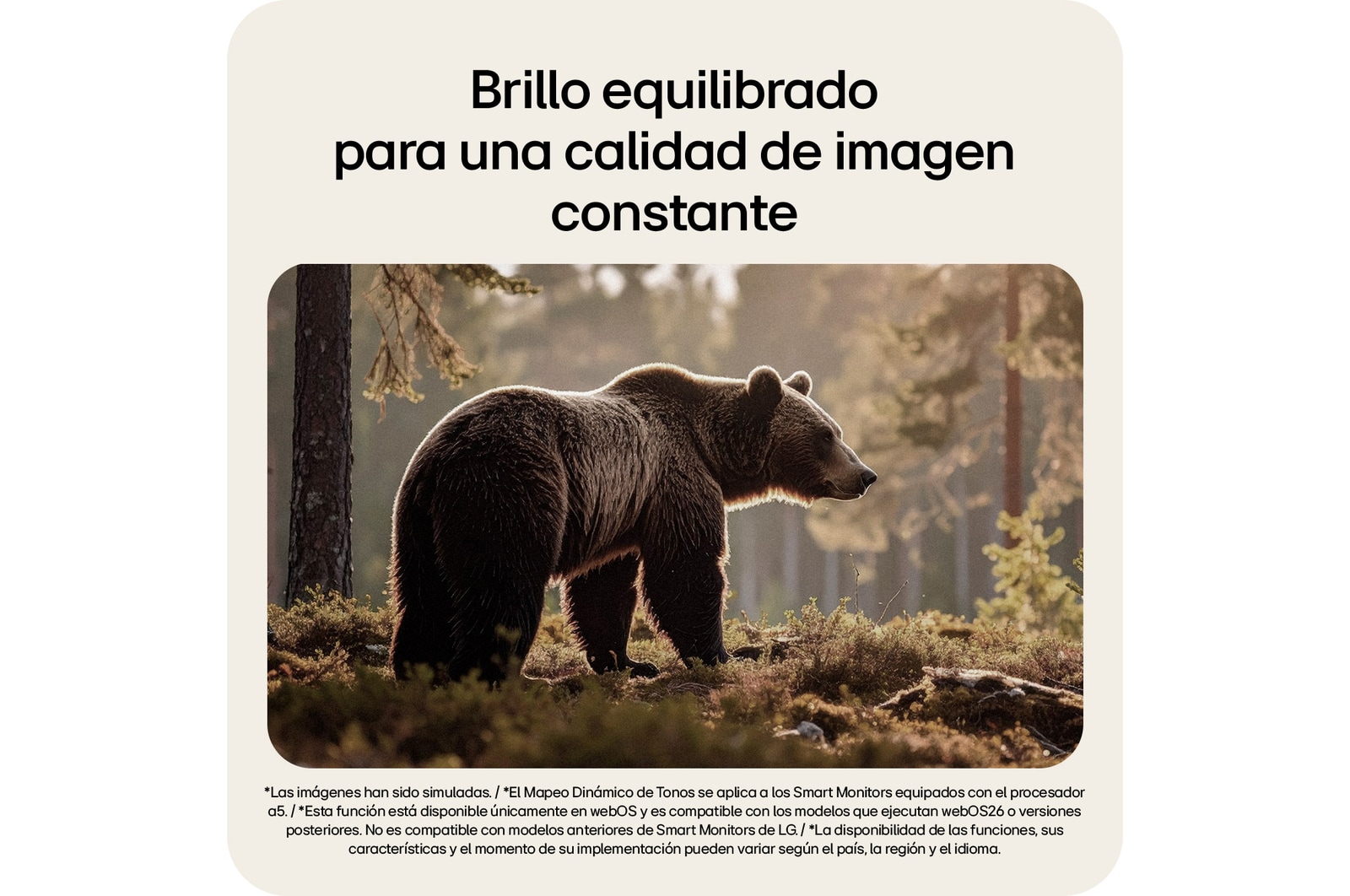 Mapeo Dinámico de Tonos en el Smart Monitor de LG equilibra automáticamente el brillo y el contraste para una visualización estable.