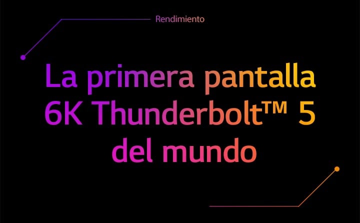 No se incluyen imágenes.