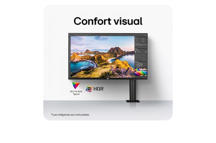 LG Monitor IPS Ergo UHD 4K de 31,5" con USB-C, 32UN880K-B