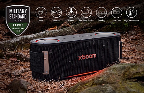 image xboom bounce 01