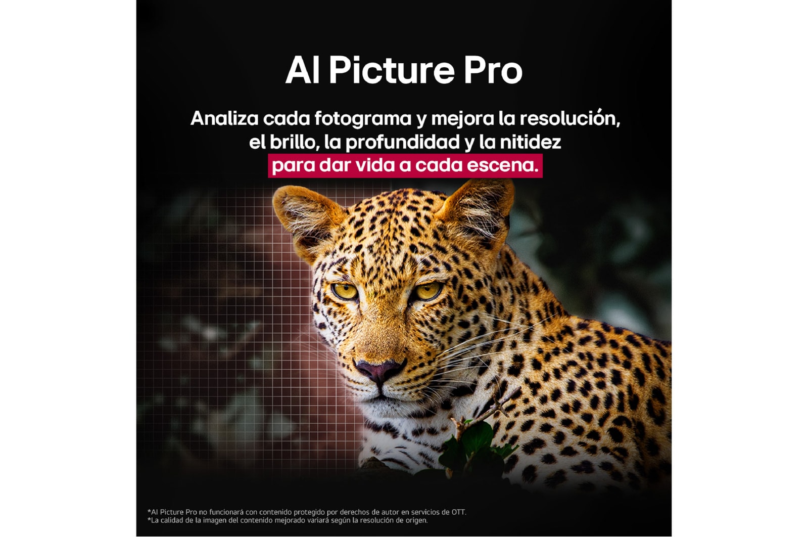 Leopardo en el bosque en colores vivos y con gran detalle. 