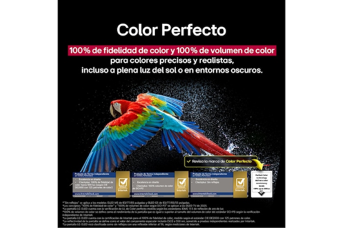 Un loro colorido en ultra alta definición sobre un fondo negro.