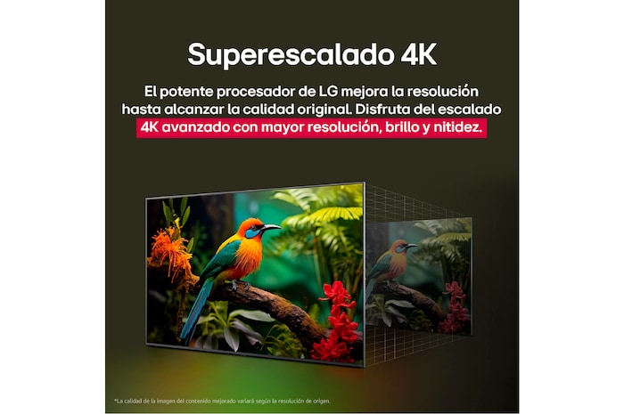 Comparación de antes y después de cómo el superescalado 4K de LG mejora la calidad de la imagen. Dos paneles muestran la misma imagen de un pájaro colorido posado en una rama en el bosque, el panel de la derecha está difuminado. El título habla de cómo el superescalado 4K mejora la resolución, el brillo y la claridad. 