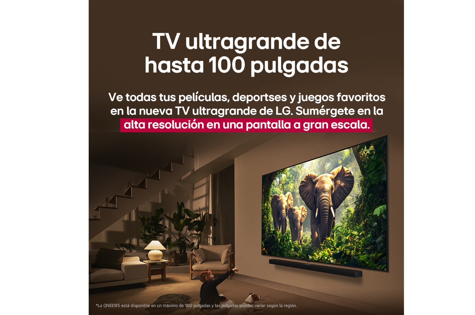 Una joven y un perro sentados frente a una LG QNED TV montada en una pared en la que se ven tres elefantes caminando hacia fuera por encima de la LG Soundbar.