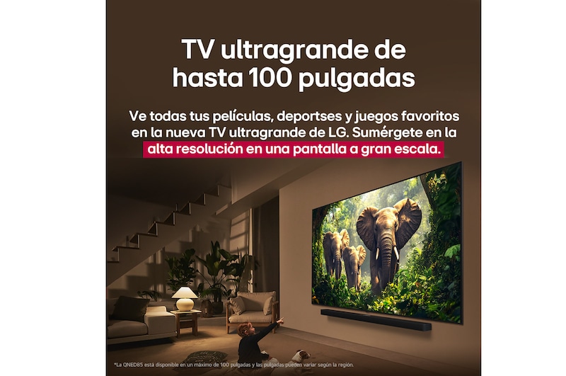Una joven y un perro sentados frente a una LG QNED TV montada en una pared en la que se ven tres elefantes caminando hacia fuera por encima de la LG Soundbar.