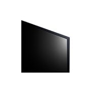 LG UHD ThinQ AI 55'' UQ801 4K Comercial TV, 4K Procesador Inteligente α5 generación 5, Magic Remote (2022), 55UQ801C0SB