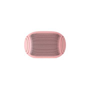 LG XBOOMGo PL2P, PL2P