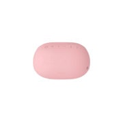 LG XBOOMGo PL2P, PL2P