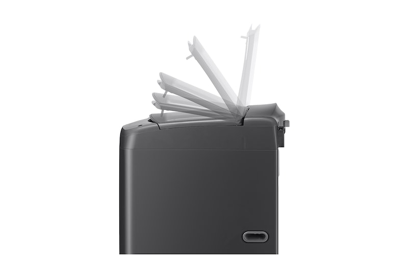 LG Lavadora de 17Kg con AI DD™ y 6 Motion DD, negro claro, WT17BV6