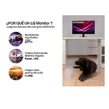 Vista lateral a -15 grados