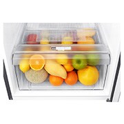 LG Refrigeradora Top Freezer 187L con Múltiple Flujo de aire, Control de humedad y diagnóstico inteligente, GT22BPPD