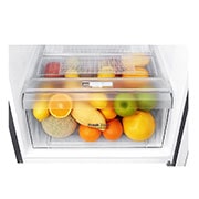 LG Refrigeradora Top Freezer 235L con Múltiple Flujo de aire, Control de humedad y diagnóstico inteligente, GT26BPG