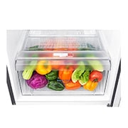 LG Refrigeradora Top Freezer 235L con Múltiple Flujo de aire, Control de humedad y diagnóstico inteligente, GT26BPG